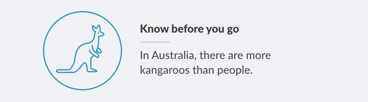 Know                                                            before you go                                                            - In                                                            Australia,                                                            there are more                                                            kangaroos than                                                            people.