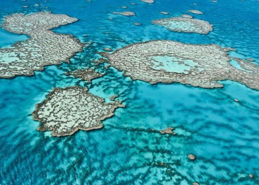 Deep Dive                                                            Down Under:                                                            The Great                                                            Barrier Reef                                                            & Beyond